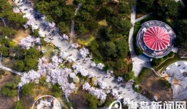 中山公园最新爆料,揭秘公园历史变迁与未来规划