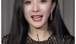 明星黑料最新,明星黑料曝光，真相背后引人深思